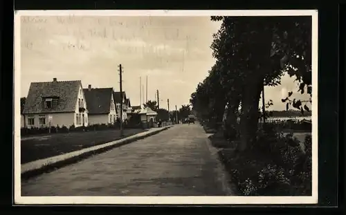 Foto-AK Haffkrug /Ostsee, Strassenpartie mit Blick aufs Wasser