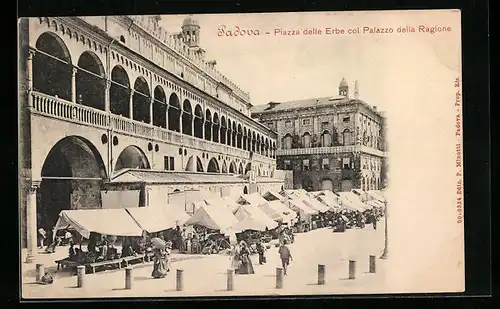 AK Padova, Piazza delle Erbe col Palazzo della Ragione