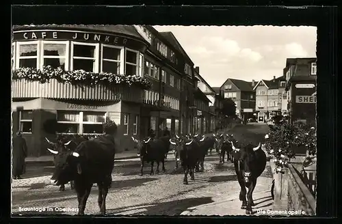 AK Braunlage im Oberharz, Die Damenkapelle