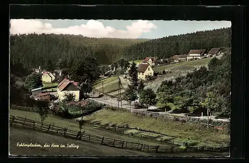 AK Fohlenplacken /Solling, Ortsansicht von einem Berg aus