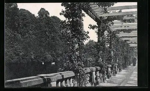 AK Bad Pyrmont, Pergola