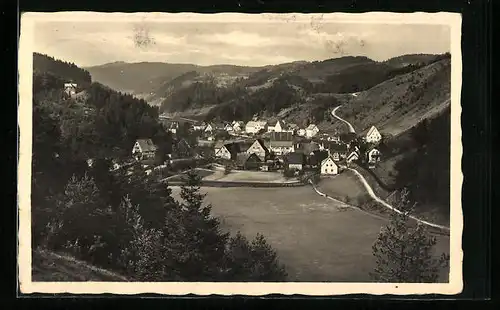 AK Hirschbach /Hersbrucker Schweiz, Gesamtansicht von einem Berg aus