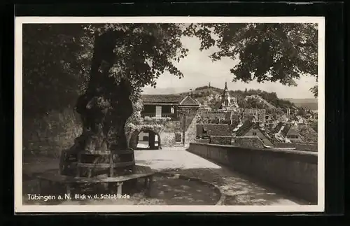 AK Tübingen a. N., Blick von der Schlosslinde