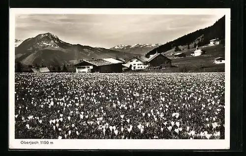 AK Oberjoch bei Hindelang, Ortspartie mit Pass