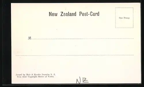 AK Neuseeland, Mt. Cook Aorangi the Cloud Piercer