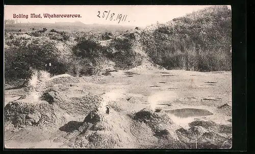 AK Neuseeland, Boiling Mud, Whakarewarewa