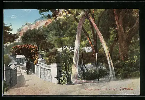 AK Gibraltar, Whale jaws arch bridge