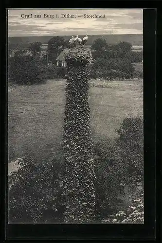 AK Burg i. Dithm., Blick auf Storchnest