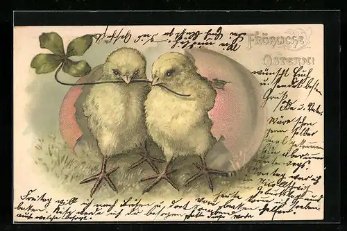 AK Osterküken schlüpfen aus Ei mit Kleeblatt
