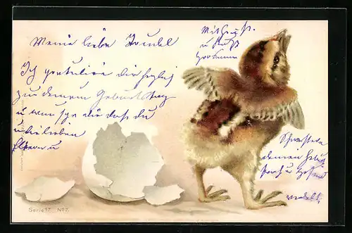 AK Osterküken schlüpft aus dem Ei