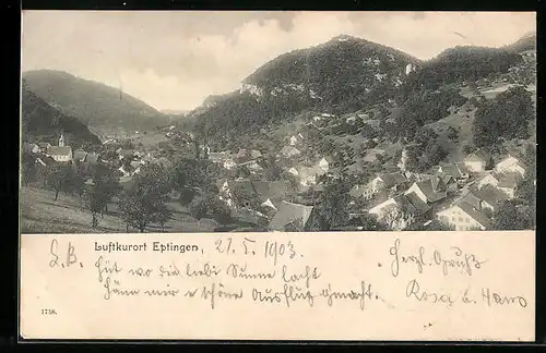 AK Eptingen, Gesamtansicht aus der Vogelschau