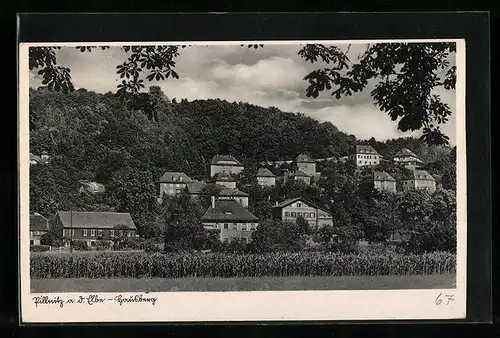 AK Dresden-Pillnitz, Gesamtansicht