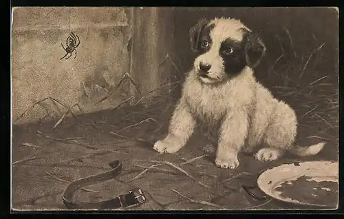 AK Hundewelpen und Spinne am Faden