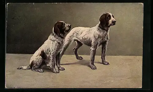 AK Zwei Jagdhunde mit aufmerksamem Blick