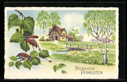 AK Frühlingsidylle mit Maikäfern und Haus am Fluss, Pfingstgruss