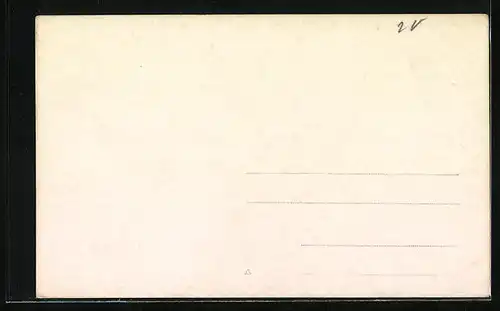 Foto-AK Kamele bei einer Rast