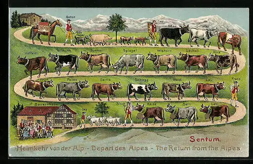 AK Sentum, Heimkehr von der Alp
