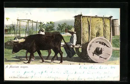 AK Mexico, A Mexican Waggon