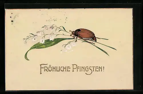 AK Maikäfer krabbelt auf einem Maiglöckchen-Halm, Pfingstgruss