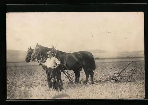 Foto-AK Bauer mit Hund und Pferdegespann beim Pflügen auf dem Feld