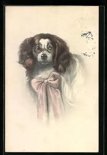 AK Pekinese mit einer rosa Schleife