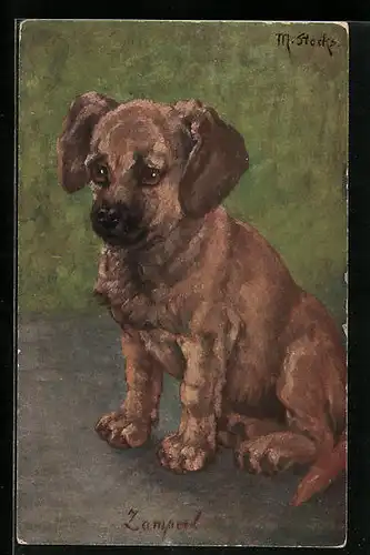 AK Hundewelpe Zamperl, Portrait