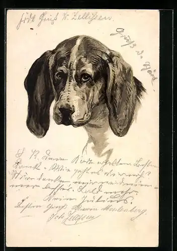 Präge-Lithographie Ein Jagdhund, Kopfportrait