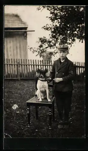 Foto-AK Knabe mit Mütze neben Hund auf einem Stuhl