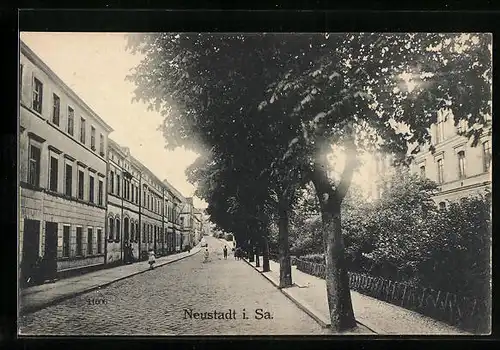 AK Neustadt /Sa., Bischofswerdaer Strasse mit Alleebäumen und Schule