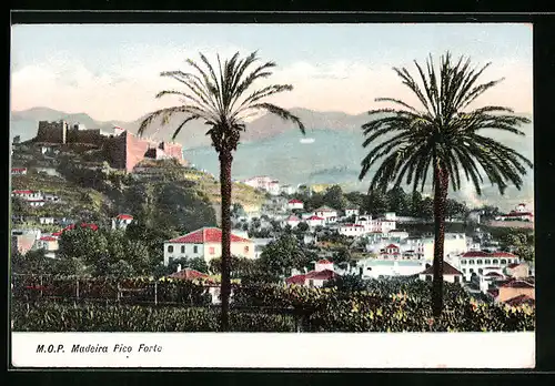 AK Madeira, Pico Forte