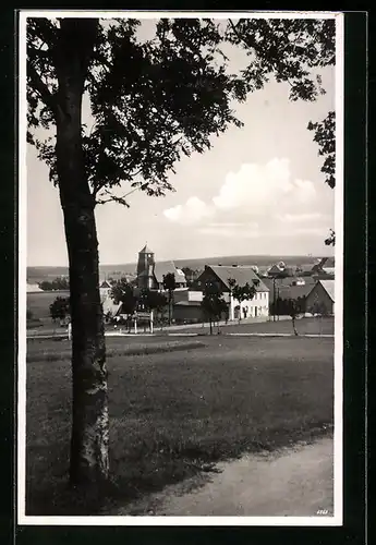 AK Georgenfeld i. Erzgeb., Gasthaus Grenzsteinhof mit Umgebung