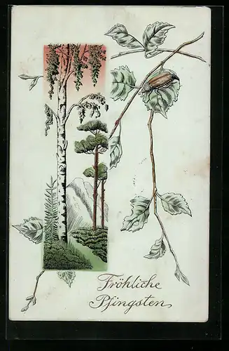 Präge-AK Maikäfer auf einem Blatt, Berglandschaft, Pfingstgruss