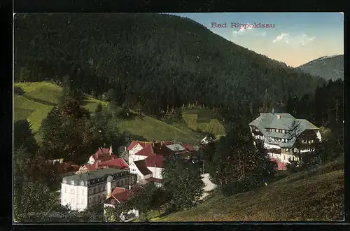 AK Bad Rippoldsau, Ortsansicht aus der Vogelschau