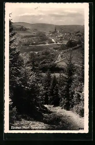 AK Züschen / Hoch-Sauerland, Totalansicht