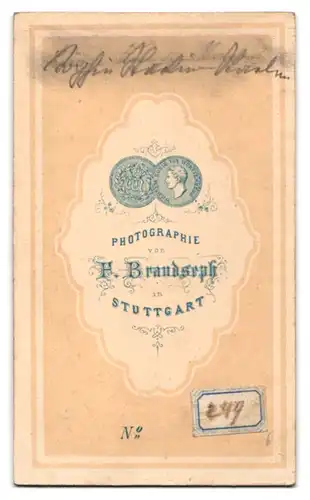 Fotografie F. Brandseph, Stuttgart, Junge Dame im modischen Kleid