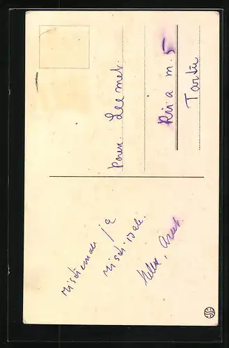 AK Osterküken in Tracht mit Palmkätzchenzweig