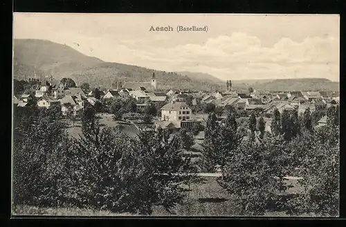 AK Aesch /Baselland, Ortsansicht aus der Vogelschau