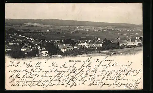 AK Colombier, Gesamtansicht mit Blick ins Land