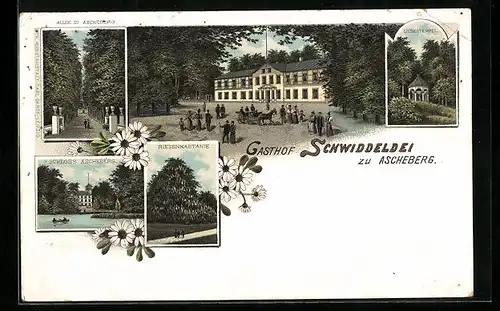 Lithographie Ascheberg, Gasthof Schwiddelei, Riesenkastanie