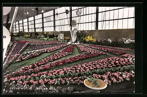 AK Berlin, Grüne Woche 1960, Innenansicht mit Blumenbeeten