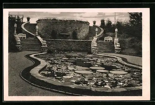 AK Essen, Gruga 1929, Staudenlichtung, Victoria-Regia-Becken