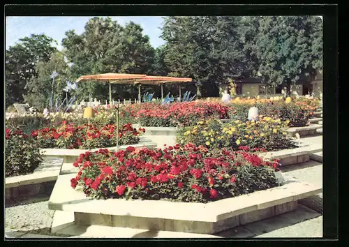 AK Erfurt, Internationale Gartenbauausstellung der DDR, Blick auf den grossen Rosengarten