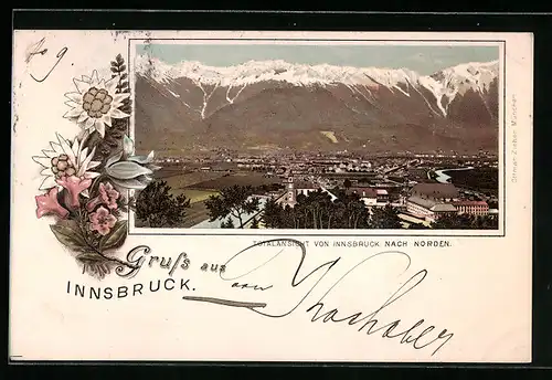 Lithographie Innsbruck, Totalansicht nach Norden, Blumenmotiv