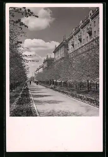 AK Minsk, On Lenin Street