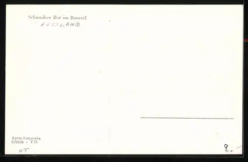 AK Schumilow Bor, Verschneite Dorfansicht