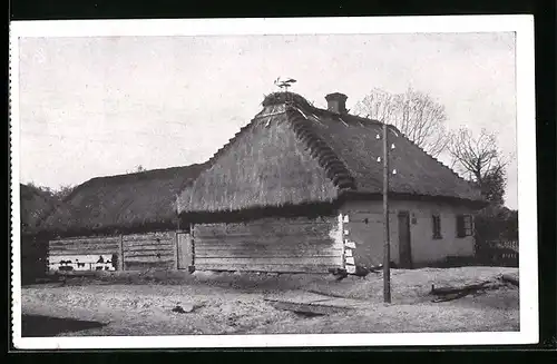 AK Brest-Litowsk, Storchennest mit Storchenpaar auf einem Wohnhaus