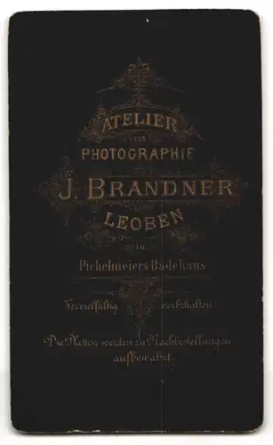 Fotografie J. Brandner, Leoben, Junger Herr im Anzug mit Fliege