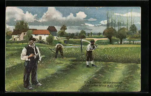 AK Reklame für Dünger, Wiese mit Kali Dünger