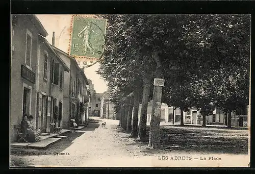AK Les Abrets, La Place