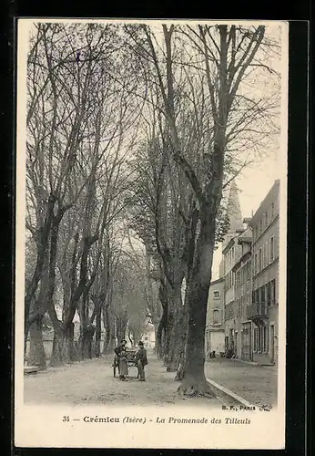 AK Crémieu, La Promenade des Tilleuls